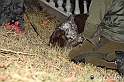 VBS_6458 - Inaugurazione Stagione 2022-23 Simulazione Ricerca Tartufo
